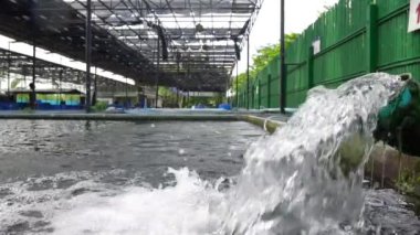 Su akışı su pompa kanal. Ağır çekim dışarı Koi Pond sazan balık çiftliği için oksijen borudan fışkıran su.