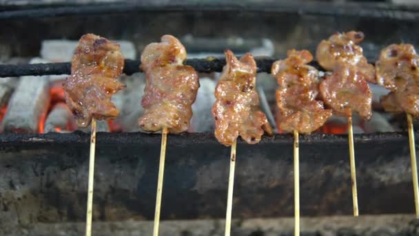 Carne Barbacoa Parrilla Brochetas Sobre Fuego Con Cocción Humo Sobre — Vídeo de stock