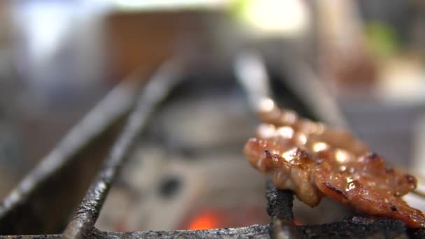 Carne Barbacoa Parrilla Brochetas Sobre Fuego Con Cocción Humo Sobre — Vídeo de stock