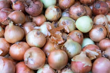 Taze soğan Grup arka plan. Olgun organik soğan. Lay gurme pazarında rafta market.Organic Allium, üstten görünüm, çiğ soğan soymak.