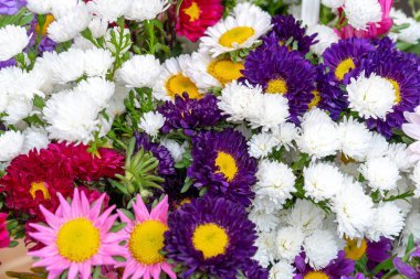 Çiçek desen dekorasyon çeşitli renklerde çiçekler ile. Çiçek arka plan güzel.