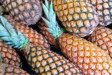 Gurme veya markette taze ananas tropikal meyve Grubu.Organik ananas palmiye dalları ile olgunlaşmış. Sebze ve meyve tepsi pazar tarım çiftliğinde.