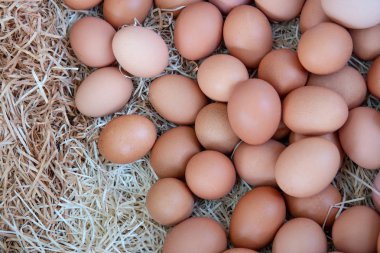 Taze ve çiğ tavuk yumurtası yığını tepsi pazarı tarım çiftliğinde satılıktır. Sağlığa yönelik yüksek protein besin. Gıda, İş, Paskalya Konsepti..