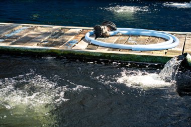 Su pompası borusundan gelen su akışı arıtma sistemi. Koi Pond Sazan balık çiftliğindeki borudan oksijen fışkırıyor. Su tüp pvc ile çekiliyormuş. Endüstriyel atık su arıtımı..