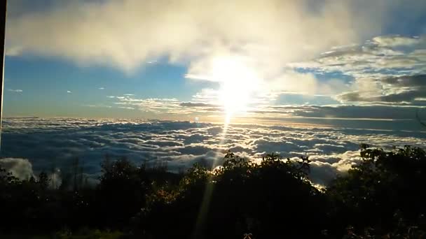 Wolken Vanaf Top Van Een Berg — Stockvideo