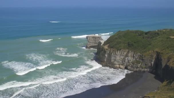 Burung Gannet Terbang Atas Garis Pantai — Stok Video