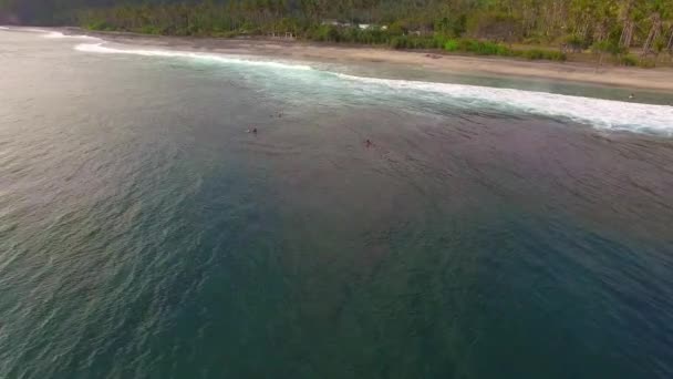 Grupo Surfistas Paisaje — Vídeo de stock