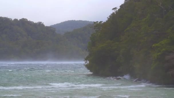 Starker Wind Der Über Einen See Weht — Stockvideo