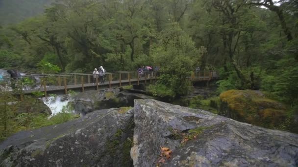 Turistas Caminando Sobre Puente Selvático Bajo Lluvia — Vídeos de Stock