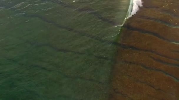 Хвилі Бірюзових Водах — стокове відео