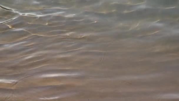 Video Van Bruin Water Terug Naar Boven — Stockvideo