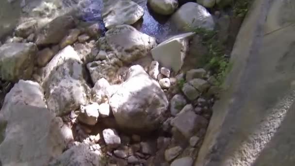 Video Caminar Sobre Rocas — Vídeo de stock