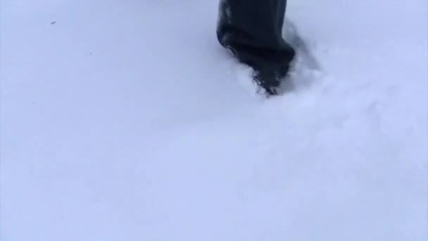 Video Von Spaziergängen Schnee — Stockvideo