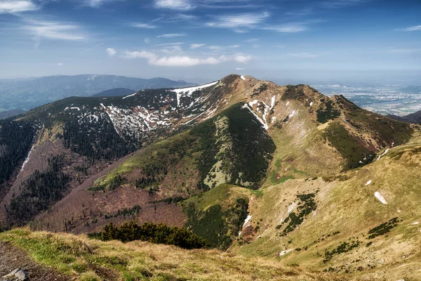 Hill Maly Krivan Mala Fatra National Park Slovakien Bergslandskap — Stockfoto