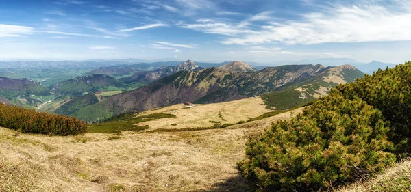 View Top Hill Velky Krivan Mala Fatra National Park Panoramic — Stock Photo, Image