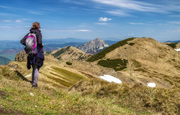 Kadın hiker tepenin üstünde. Mala Fatra Milli Parkı.