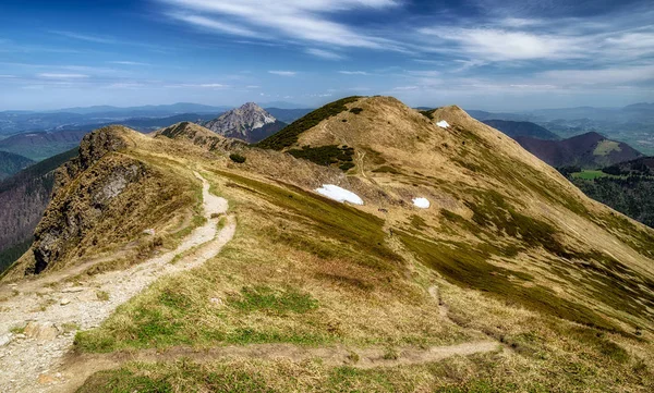 Sendero Parque Nacional Mala Fatra Eslovaquia Paisaje Montaña —  Fotos de Stock