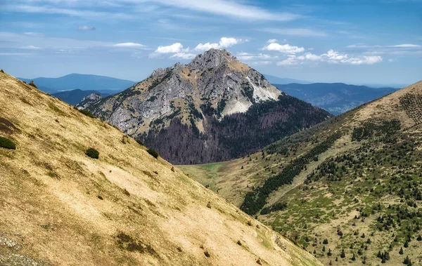 Hill Rozsutec Mala Fatra National Park Slovakien Bergslandskap — Stockfoto
