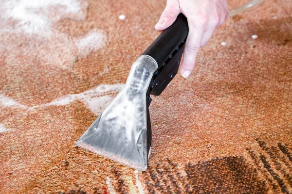Karpet Membersihkan Dengan Semprotan Pembersih Profesional — Stok Foto