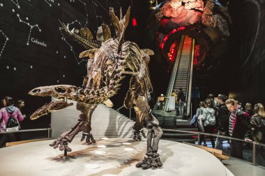 London, Büyük Britanya - Mayıs 13: iskelet dinozor ve Londra'nın 13 Mayıs 2018 Doğal Tarih Müzesinde ziyaretçilerin