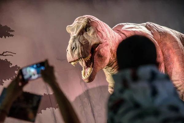 Londres Reino Unido Mayo Modelo Tiranosaurio Dinosaurio Rex Visitantes Museo —  Fotos de Stock