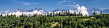 Yüksek Tatras dağlar. En yüksek Gerlachovsky stit. Yeşil ormandaki ağaçlar.