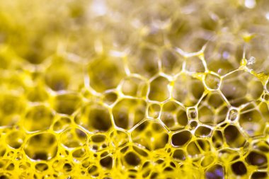 Soyut sarı yapı - makro fotoğraf