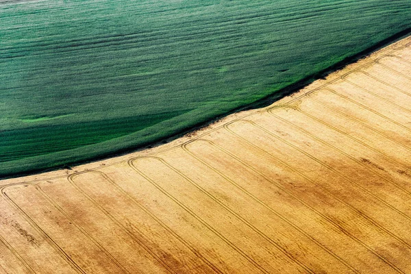 Jordbruk Fält Från Ovan Jordbruksmark — Stockfoto