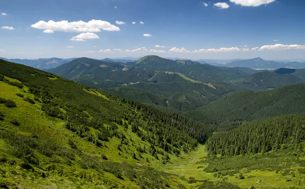 Schöne Berglandschaft Niedrige Tatra Slowakei — Stockfoto