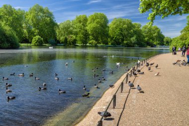 Londra'da 14 Mayıs 2018 aziz Park'ta London, Büyük Britanya - 14 Mayıs: göl