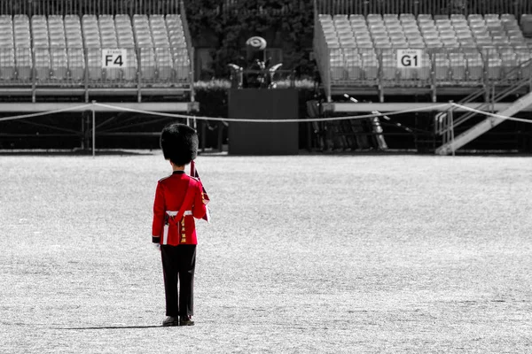 One British Queen Guard Duty — Stock Photo, Image