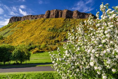 Arthur'un koltuk - hill şehir Edinburgh, İskoçya'da. Yaz dağ manzarası