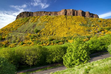 Salisbury crags Holyrood Park City Edinburgh, İskoçya. Yaz dağ manzara panorama