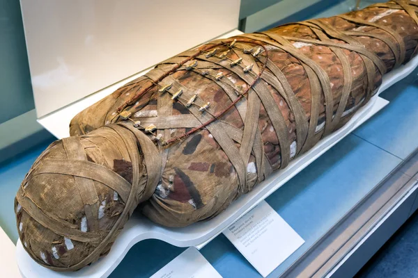 Лондон Объединенный Кингдом Мая Детали Древней Египетской Мумии Британском Музее — стоковое фото