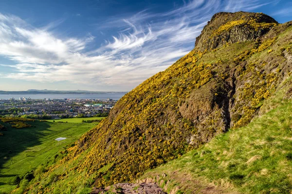 Arthur'un koltuk - hill şehir Edinburgh, İskoçya'da. Dağlarda sarı çiçek.