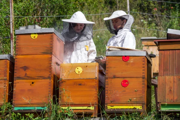 Včelaři Bílém Obleku Úly — Stock fotografie