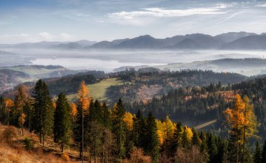 Sonbahar Orman ve düşük Tatras ve Liptovska Mara, arka plan, Slovakya