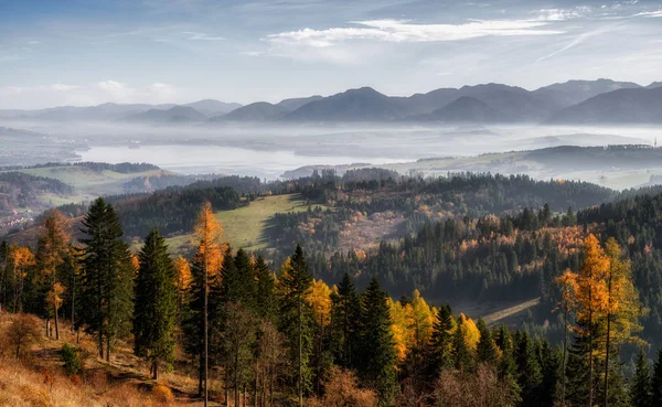 Hösten Skogen Och Låga Tatra Och Liptovská Mara Bakgrunden Slovakien — Stockfoto