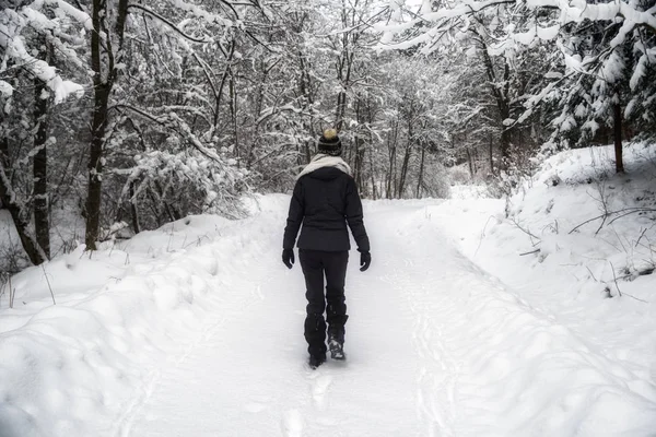 Ensam Person Som Går Snöig Vinter Forest — Stockfoto