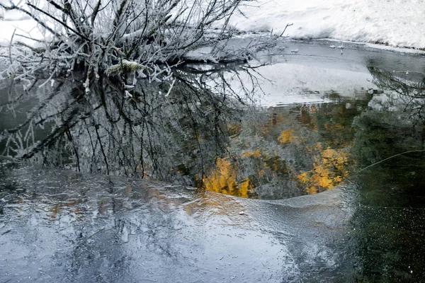 雪に覆われた氷のような植物 木や森林で凍った湖 — ストック写真