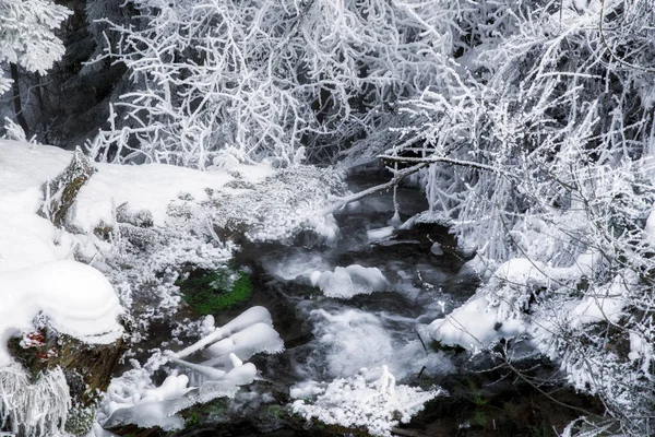 Kleiner Bach Verschneiten Winterland — Stockfoto