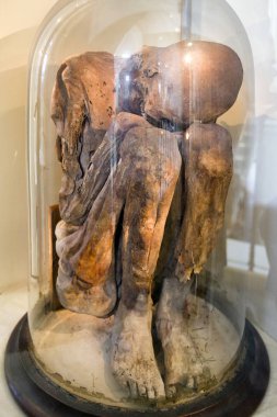 Perulu Prenses Mumya müzesinde Elgin, İskoçya