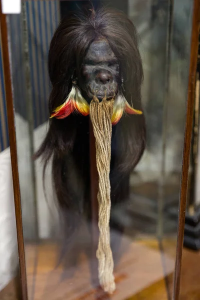 Ecuadorian shrunken head in Elgin museum, Scotland — Stock Photo, Image