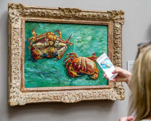 国立胆嚢のヴィンセント ・ ヴァン ・ ゴッホの絵画を見ての訪問者 — ストック写真