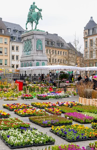 Αγορά λουλουδιών στο Λουξεμβούργο — Φωτογραφία Αρχείου