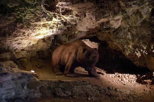 Jeskynní medvěd ve Važecké jeskyně, Slovensko — Stock fotografie