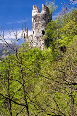 Castle Starhrad, Slovakya
