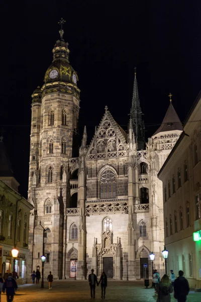 St. Elisabeth Katedrali, Kosice, Slovakya — Stok fotoğraf