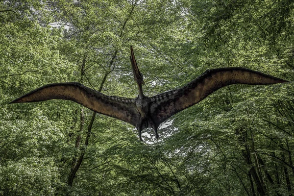 Dinosar Pterodáctilo em dinoparque — Fotografia de Stock