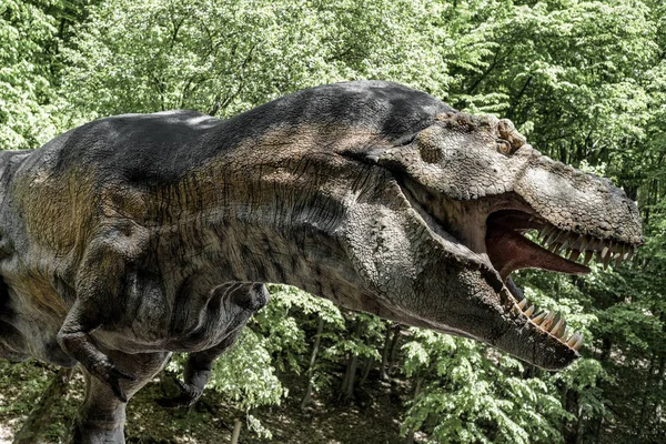 Динозар Тираннозавр Рекс — стоковое фото